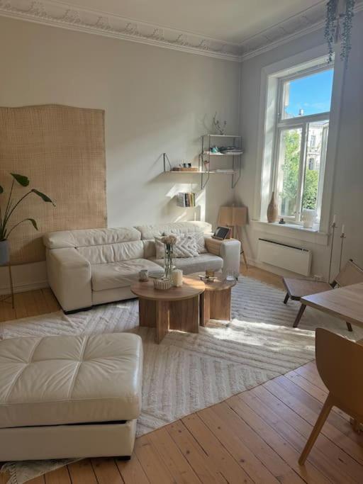 Super In Heart Of Apartment Oslo